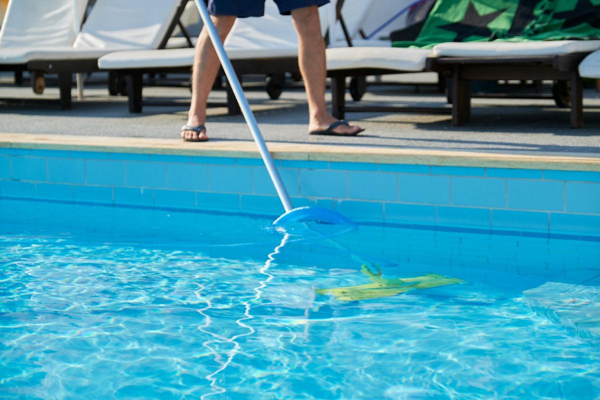  How to Get Rid of Common Pool Pests 